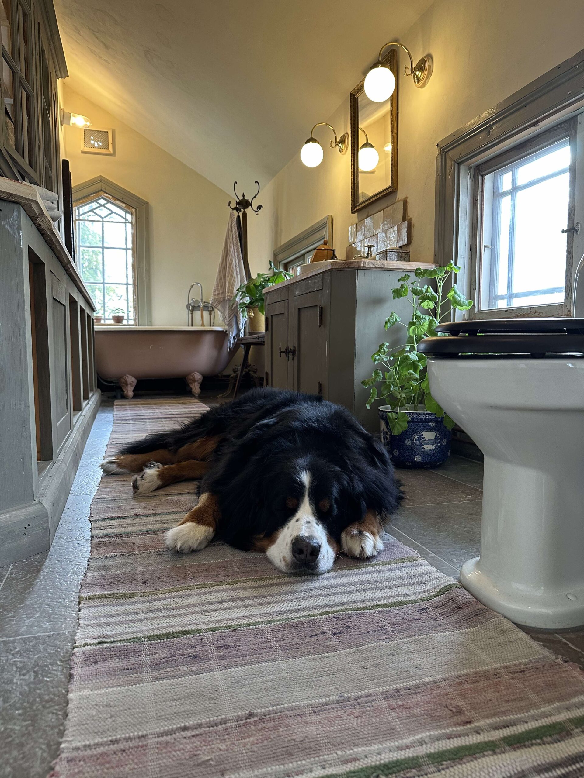 Lerbadrum – tre försök senare